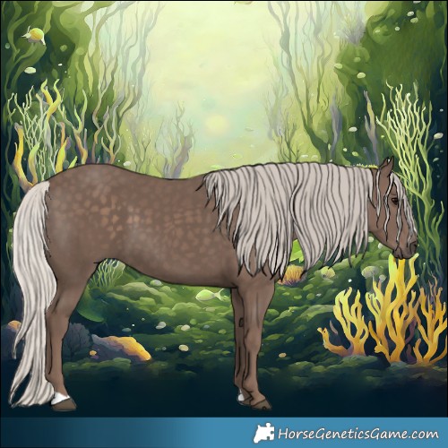 Horse Color:Silver Black 