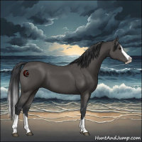Horse Color:Black Splash