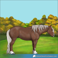 Horse Color:Silver Black 