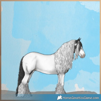 Horse Color:Black Sabino Tobiano Frame Appaloosa 