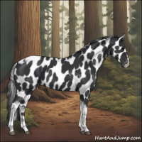 Horse Color:Black Tobiano Frame Leopard 