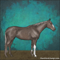 Horse Color:Silver Black 