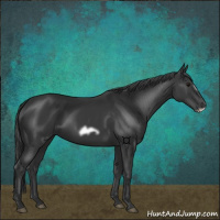 Horse Color:Black Frame 