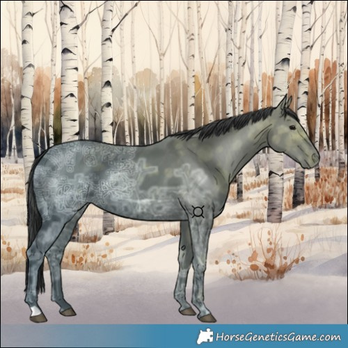 Horse Color:Black Ice