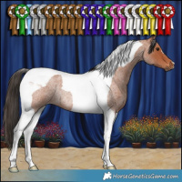 Horse Color:Bay Roan Tobiano Rabicano