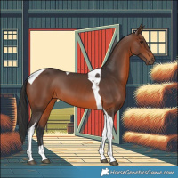 Horse Color:Brown Tobiano 