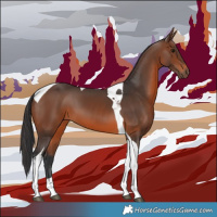 Horse Color:Brown Tobiano 