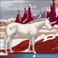 Horse Color:Cremello Dun Tobiano 