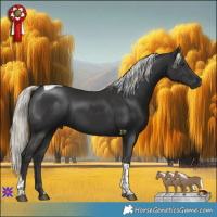 Horse Color:Liver Chestnut Mushroom Tobiano 