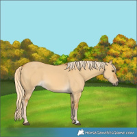 Horse Color:Palomino Dun 