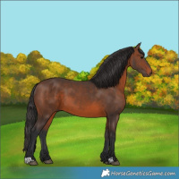 Horse Color:Brown 