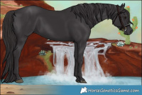 Horse Color:Smoky Black and Smoky Black