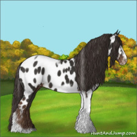 Horse Color:Liver Chestnut Tobiano Frame Appaloosa 