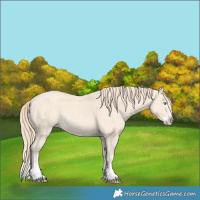 Horse Color:Perlino Splash  and Perlino Splash 