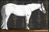 Horse Color:Grullo Sabino Rabicano 