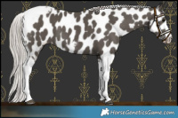 Horse Color:Silver Black Tobiano Frame Near Leopard