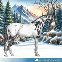 Horse Color:Black Tobiano Frame Appaloosa 