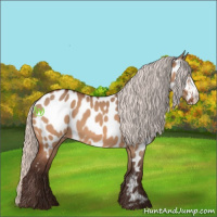 Horse Color:Silver Brown Dun Near Leopard 
