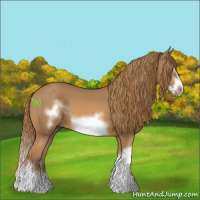 Horse Color:Chestnut Splash Frame 