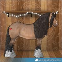 Horse Color:Bay Dun Rabicano 