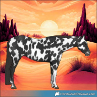 Horse Color:Liver Chestnut Tobiano Frame Appaloosa 