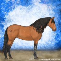 Horse Color:Bay  and Bay 