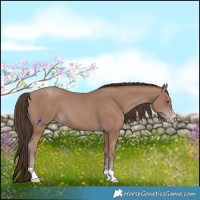 Horse Color:Classic Champagne 