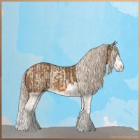 Horse Color:Cremello  and Chocolate Palomino Splash 