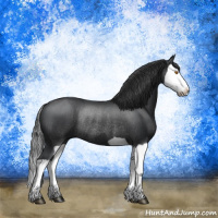 Horse Color:Black Splash Rabicano  and Black Splash Rabicano 