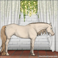 Horse Color:Perlino Dun 