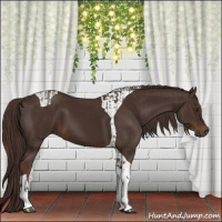 Horse Color:Liver Chestnut Tobiano  and Liver Chestnut Tobiano 