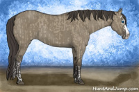 Horse Color:Smoky Grullo Splash Rabicano  and Smoky Grullo Splash Rabicano 