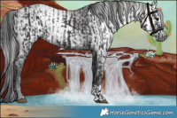 Horse Color:Smoky Black  and Gray Smoky Black 