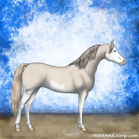 Horse Color:Smoky Creme Splash Rabicano  and Smoky Creme Splash Rabicano 