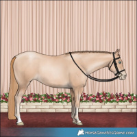 Horse Color:Gold Champagne Pearl Rabicano  and Gold Champagne Pearl Rabicano 