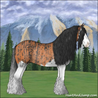 Horse Color:Black Splash Rabicano  and Bay Splash Rabicano 