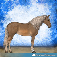 Horse Color:Chocolate Palomino 