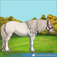 Horse Color:Smoky Creme Dun Tobiano
