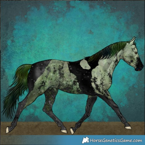 Horse Color:ERROR: UNKNOWN ANOMALY