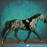 Horse Color:ERROR: UNKNOWN ANOMALY