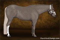 Horse Color:Silver Black 