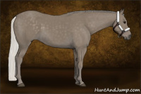 Horse Color:Silver Smoky Black 