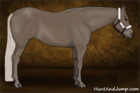 Horse Color:Silver Black 
