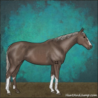 Horse Color:Silver Black 