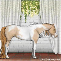 Horse Color:Red Roan Pearl Tobiano Frame 