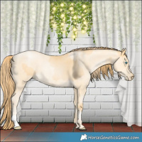Horse Color:Buckskin Roan Pearl  and Amber Cream Champagne Roan Pearl 