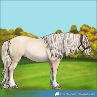 Horse Color:Palomino Pearl Dun