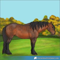Horse Color:Brown 