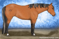 Horse Color:Silver Bay  and Bay Rabicano 