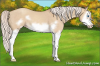 Horse Color:Silver Classic Champagne Dun Splash Frame